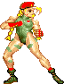 Cammy character art