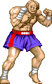 Arte de Sagat