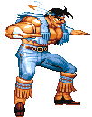 T. Hawk character art
